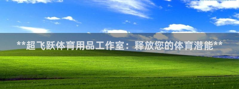 欧陆娱乐客服服务怎么样：**超飞跃体育用品工作室：释
