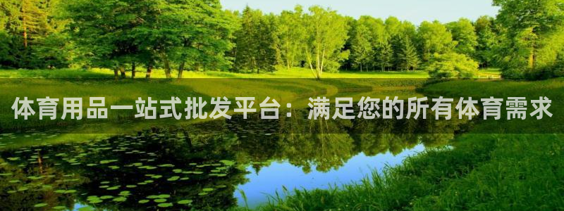欧陆娱乐安全吗：体育用品一站式批发平台：满足您的所有