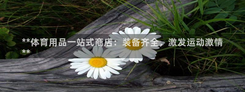 欧陆娱乐登陆官网：**体育用品一站式商店：装备齐全，