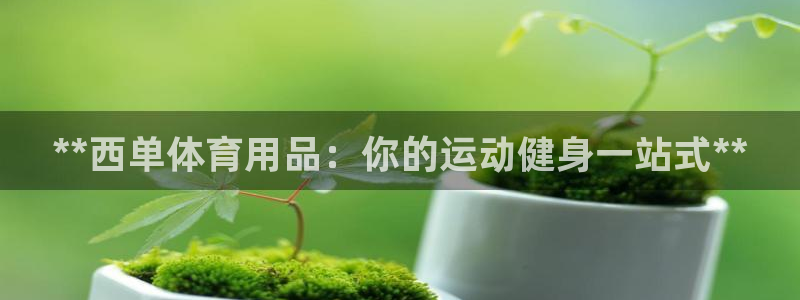 欧陆娱乐注册代理多少钱：**西单体育用品：你的运动健