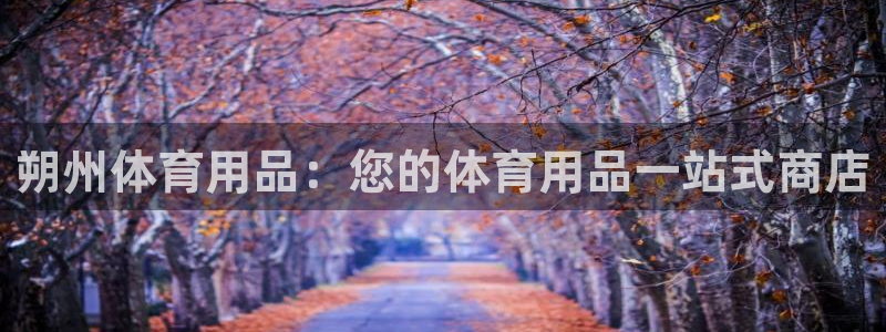 欧陆娱乐有限公司：朔州体育用品：您的体育用品一站式商