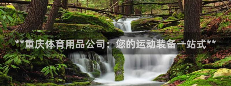 欧陆娱乐平台官网下载：**重庆体育用品公司：您的运动