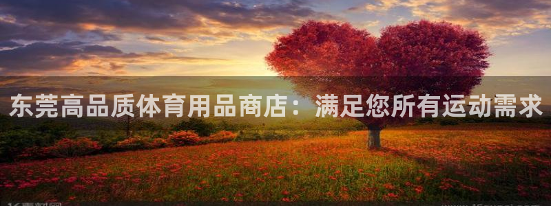 欧陆娱乐怎么注册帐号登录：东莞高品质体育用品商店：满
