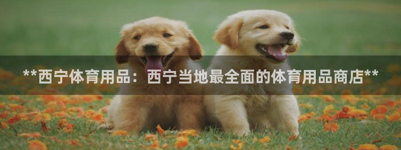 欧陆娱乐登录测速软件：**西宁体育用品：西宁当地最全