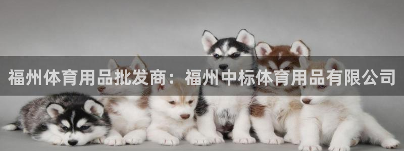 欧陆娱乐测速：福州体育用品批发商：福州中标体育用品有