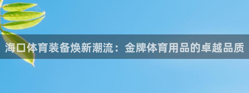 欧陆娱乐微信：海口体育装备焕新潮流：金牌体育用品的卓