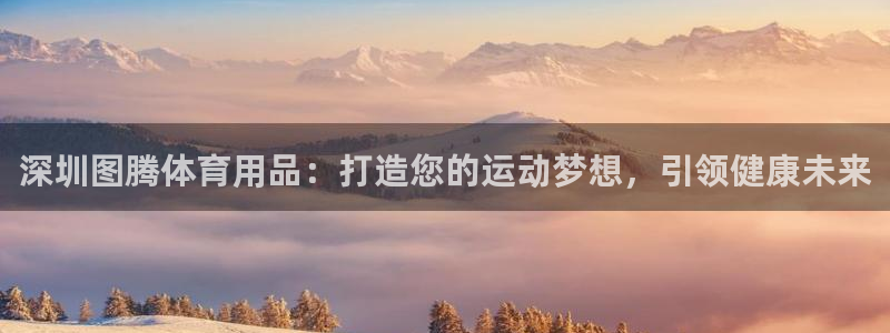 欧陆娱乐测速：深圳图腾体育用品：打造您的运动梦想，引