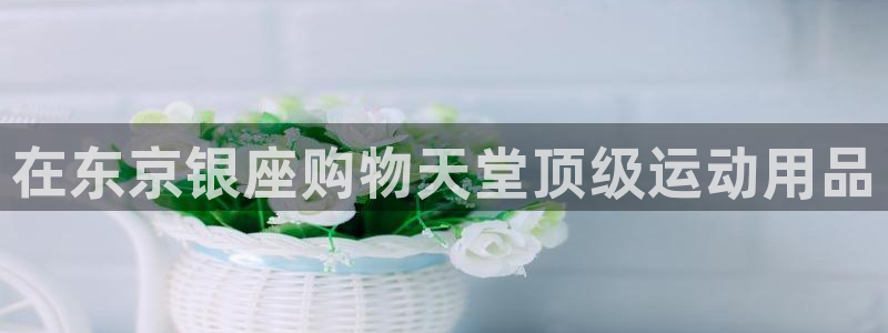 欧陆娱乐合法吗：在东京银座购物天堂顶级运动用品
