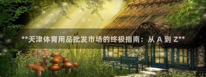 欧陆娱乐代理多少个点位可以赚钱：**天津体育用品批发