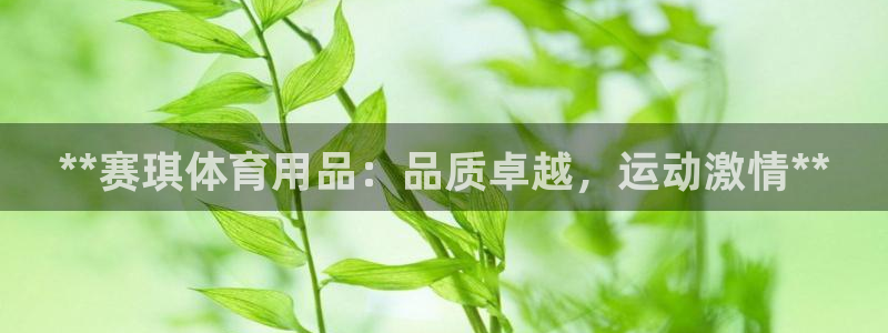 欧陆娱乐官方网站下载：**赛琪体育用品：品质卓越，运