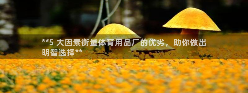 欧陆娱乐怎么注册帐号啊：**5 大因素衡量体育用品厂