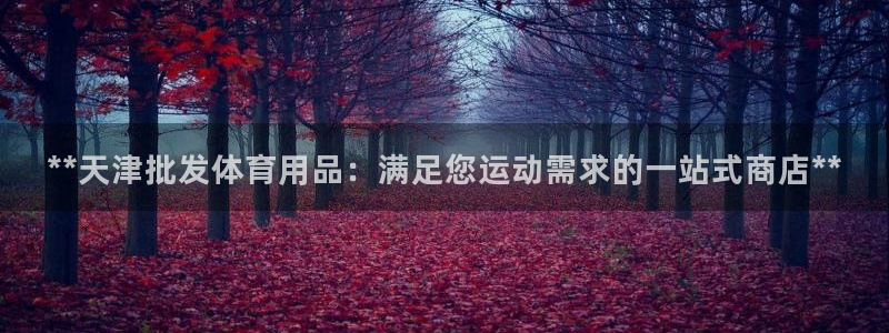 欧陆娱乐代理 贴吧官网：**天津批发体育用品：满足您