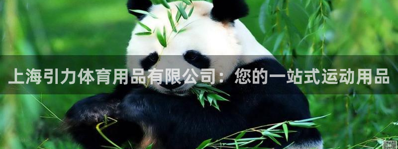 欧陆娱乐官网入口网址：上海引力体育用品有限公司：您的