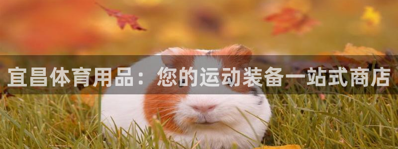 欧陆娱乐客服电话人工服务号码：宜昌体育用品：您的运动