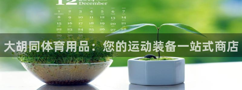欧陆娱乐官网网址是什么：大胡同体育用品：您的运动装备