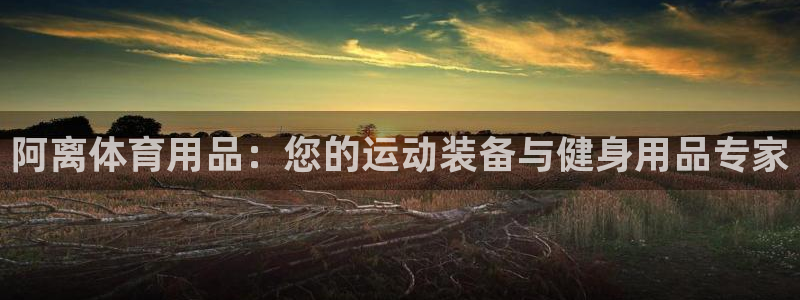 欧陆娱乐欧陆主管：阿离体育用品：您的运动装备与健身用