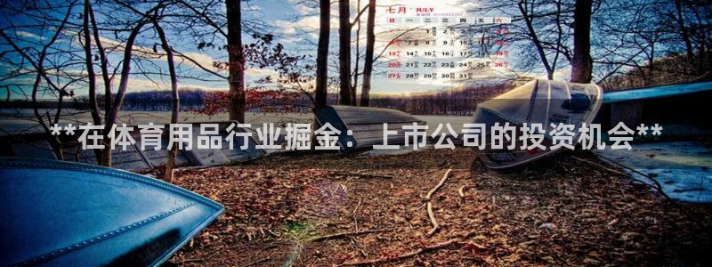 欧陆娱乐登录测速：**在体育用品行业掘金：上市公司的
