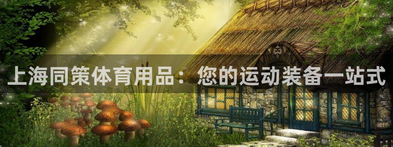 欧陆娱乐平台登录不上去怎么办：上海同策体育用品：您的