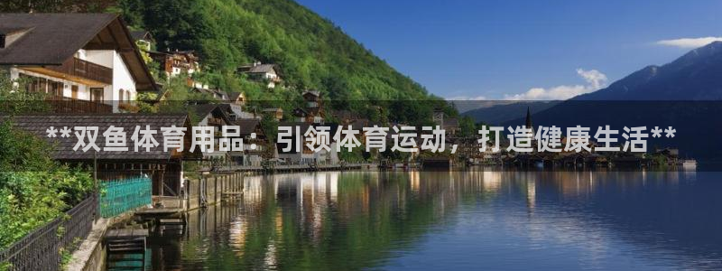 欧陆娱乐有风险吗：**双鱼体育用品：引领体育运动，打