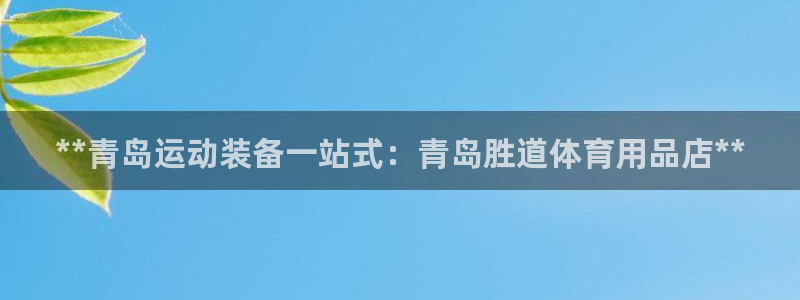 欧陆娱乐脚本：**青岛运动装备一站式：青岛胜道体育用