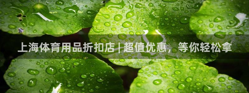 欧陆娱乐登陆官网入口：上海体育用品折扣店 | 超值优