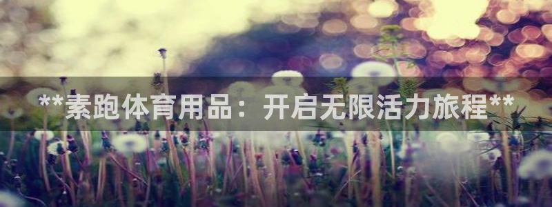 欧陆娱乐微信众：**素跑体育用品：开启无限活力旅程*