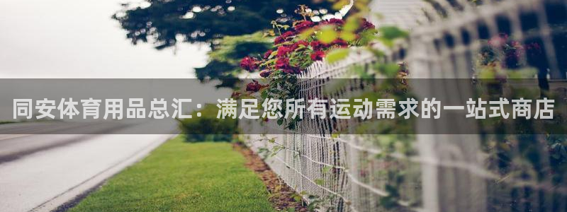 欧陆娱乐平台登陆地址在哪里：同安体育用品总汇：满足您