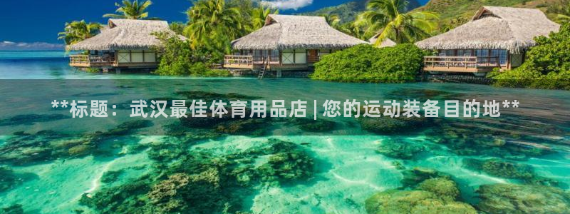 欧陆娱乐代理多少个点位：**标题：武汉最佳体育用品店