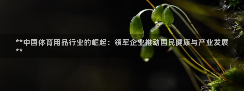 欧陆娱乐平台优势：**中国体育用品行业的崛起：领军企