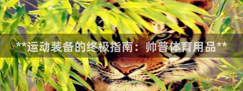 欧陆娱乐客服服务：**运动装备的终极指南：帅普体育用