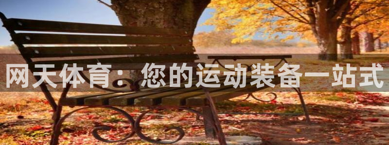 欧陆娱乐不让提现吗：网天体育：您的运动装备一站式