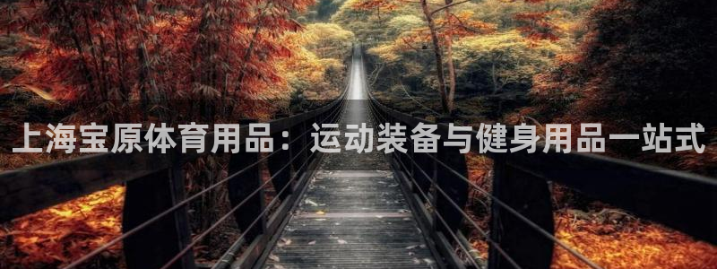 欧陆娱乐天富主管：上海宝原体育用品：运动装备与健身用