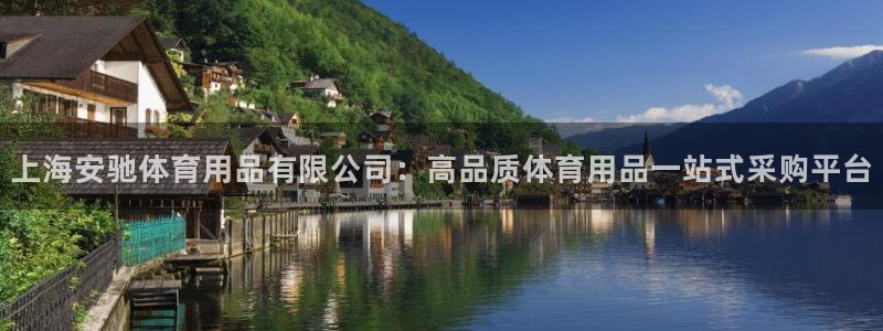 欧陆娱乐登陆平台官网：上海安驰体育用品有限公司：高品