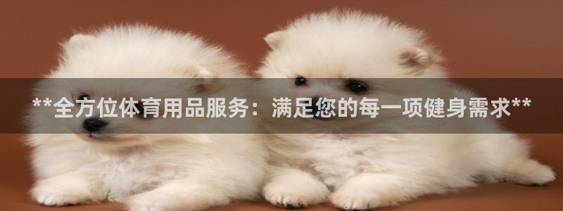 欧陆娱乐有限公司官网：**全方位体育用品服务：满足您