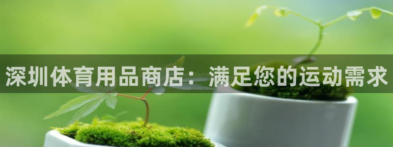 欧陆娱乐脚本怎么用：深圳体育用品商店：满足您的运动需