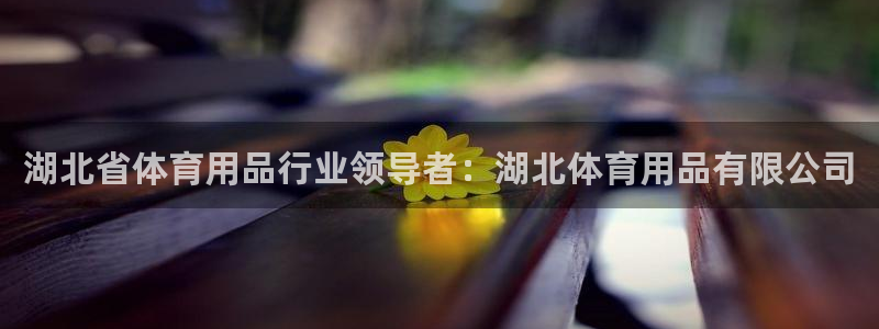 欧陆娱乐访问：湖北省体育用品行业领导者：湖北体育用品