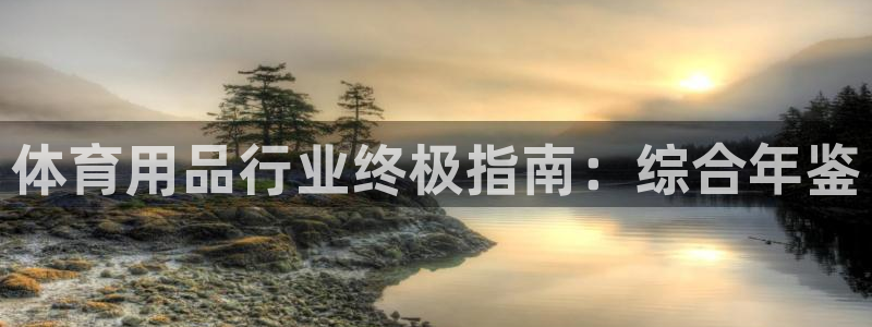 欧陆娱乐登陆平台有哪些：体育用品行业终极指南：综合年