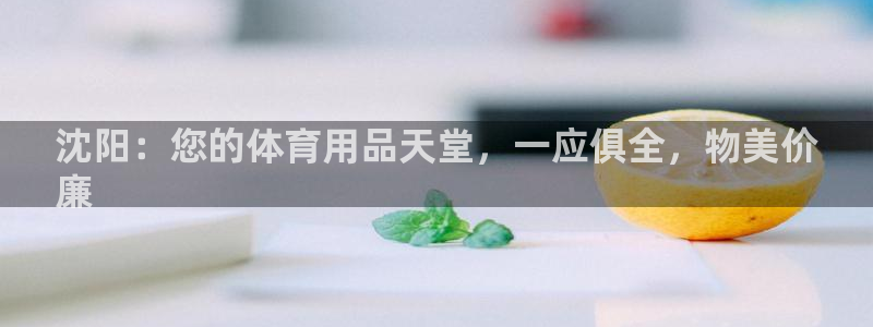 欧陆娱乐官网入口网址：沈阳：您的体育用品天堂，一应俱