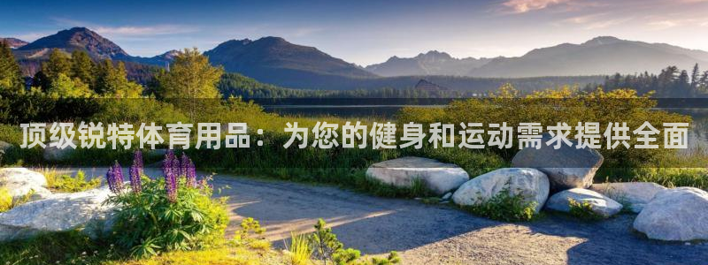 欧陆娱乐app下载：顶级锐特体育用品：为您的健身和运