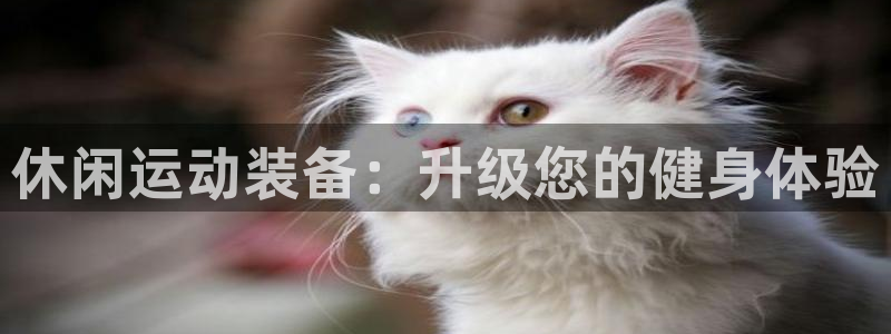 欧陆娱乐代理 贴吧怎么样：休闲运动装备：升级您的健身
