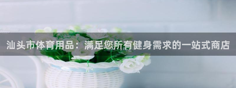 欧陆娱乐公司产品介绍怎么写：汕头市体育用品：满足您所