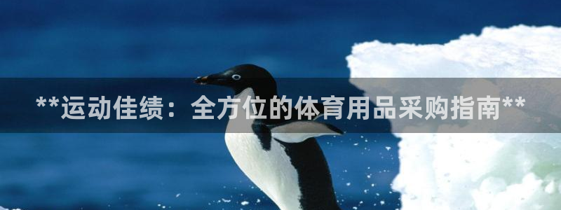 欧陆娱乐登录官网入口：**运动佳绩：全方位的体育用品