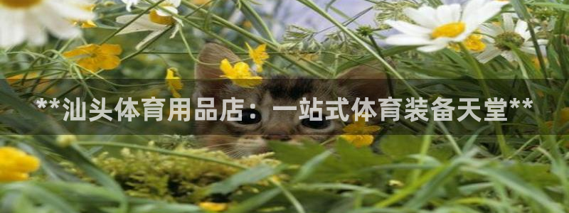 欧陆娱乐平台登录不上怎么回事：**汕头体育用品店：一