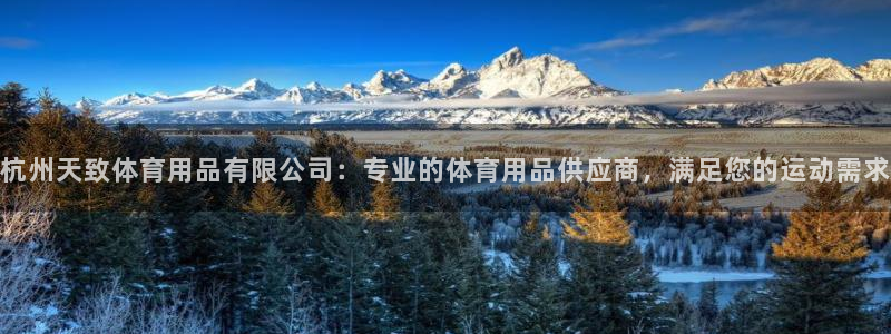 欧陆娱乐讲7O777：杭州天致体育用品有限公司：专业