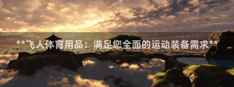 欧陆娱乐有限公司：**飞人体育用品：满足您全面的运动