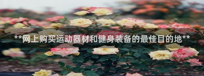 欧陆娱乐稳中：**网上购买运动器材和健身装备的最佳目