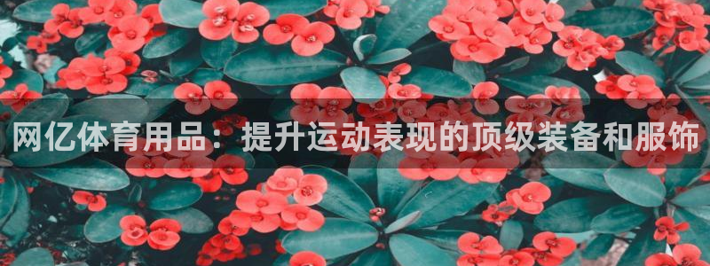 欧陆娱乐总代理电话：网亿体育用品：提升运动表现的顶级