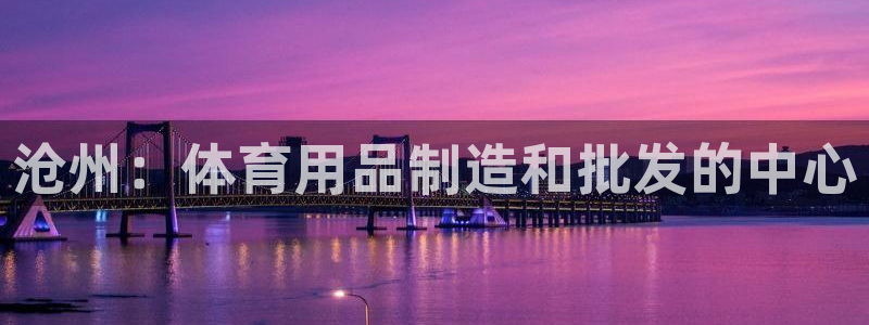 欧陆娱乐平台咋样赚钱的：沧州：体育用品制造和批发的中