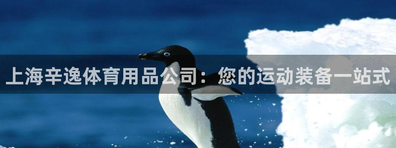 欧陆娱乐官网入口：上海辛逸体育用品公司：您的运动装备