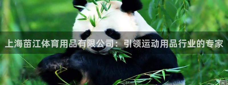 欧陆娱乐提现多久到账：上海苗江体育用品有限公司：引领